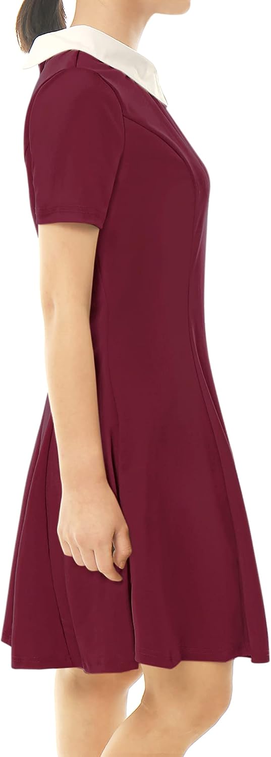 Allegra K dam Vintage Dress A-linje