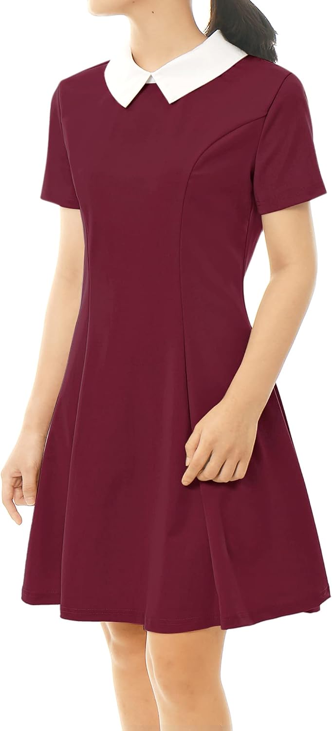 Allegra K dam Vintage Dress A-linje