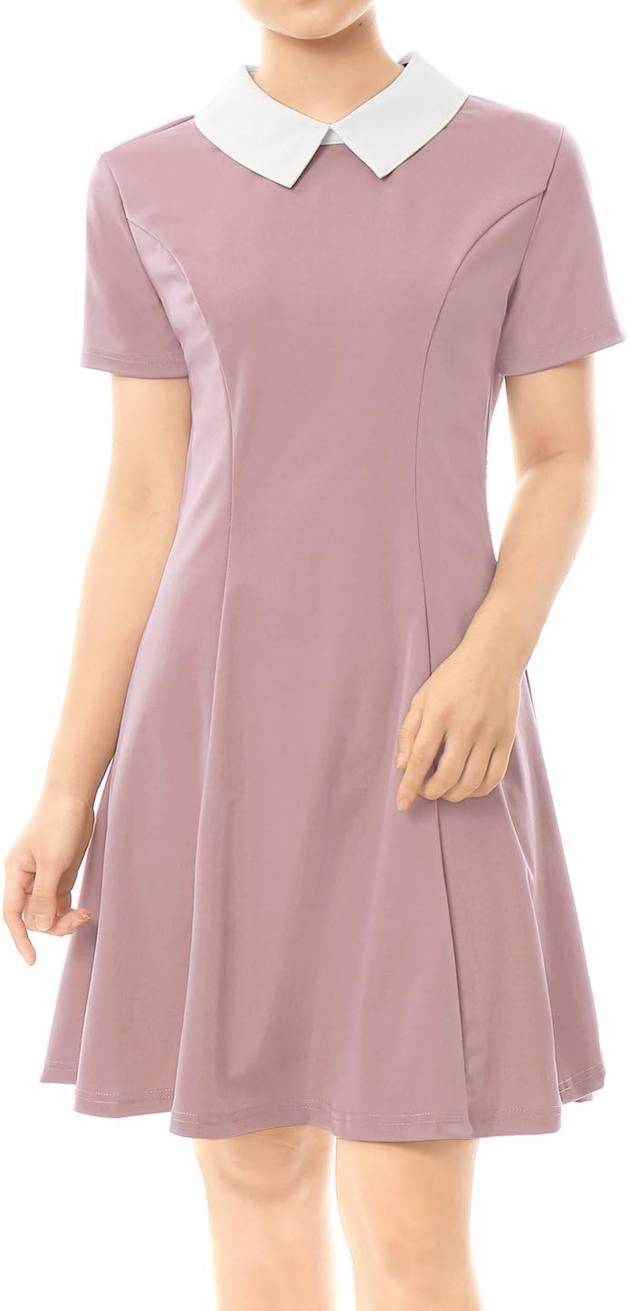 Allegra K dam Vintage Dress A-linje