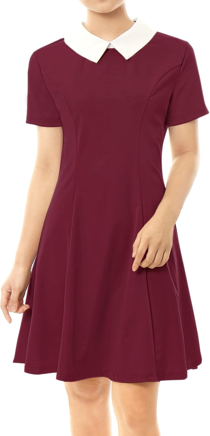 Allegra K dam Vintage Dress A-linje